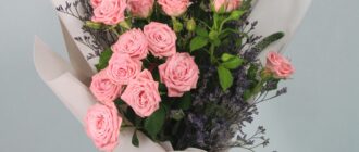 ???????? ?????? ? ?????: ????? ???????? BloomBox